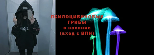 дмт Балахна
