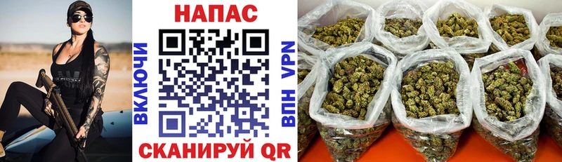 Шишки марихуана сатива  МЕГА вход  Берёзовский 